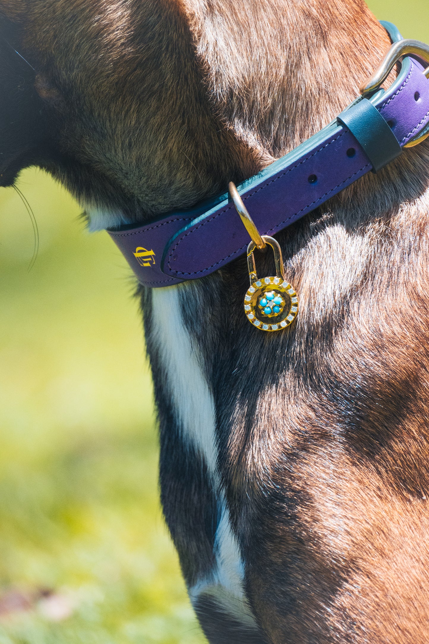 Italian Leather Dog Collar Blue